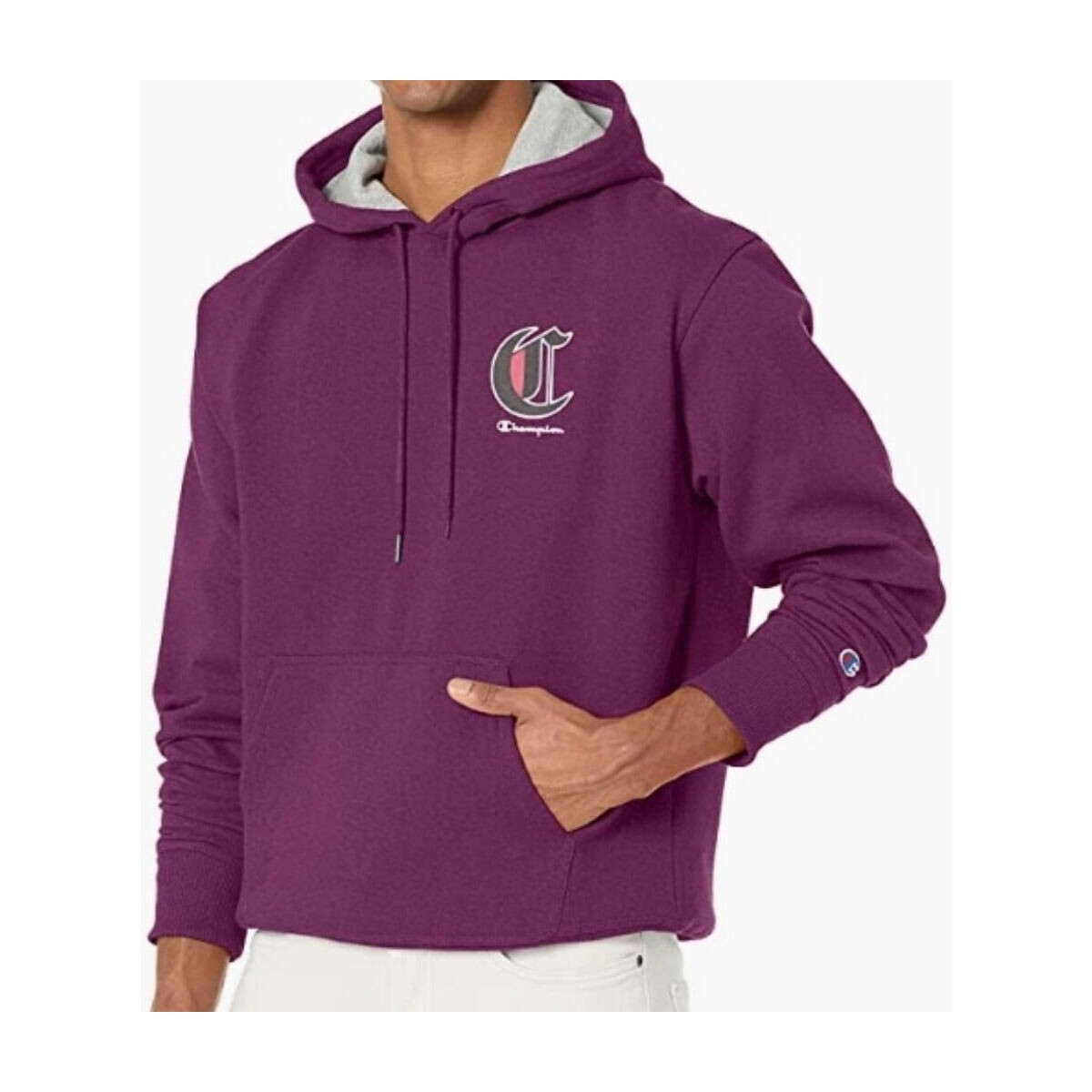 Textiel Heren Sweaters / Sweatshirts Champion - hbgf89h586nka Violet