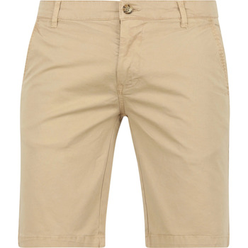 Textiel Heren Broeken / Pantalons Suitable Berry Short Beige Beige