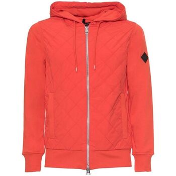 Textiel Heren Sweaters / Sweatshirts Husky - hs23beufe64co161-albert Oranje