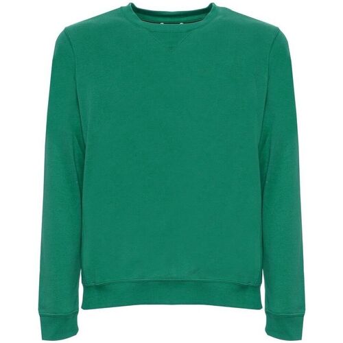Textiel Heren Sweaters / Sweatshirts Husky hs23beufe36co193 colin-c455 green Groen