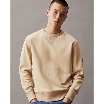 Textiel Heren Sweaters / Sweatshirts Calvin Klein Jeans J30J323426 Groen