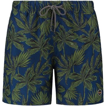 Textiel Dames Bikini Shiwi Zwembroek Palm Print Navy Blauw