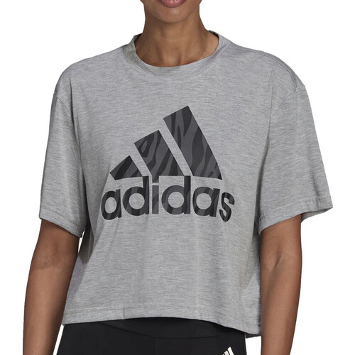 Textiel Dames T-shirts korte mouwen adidas Originals  Grijs