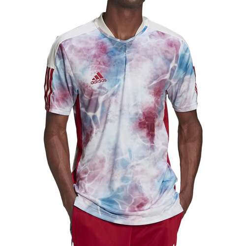 Textiel Heren T-shirts korte mouwen adidas Originals  Multicolour