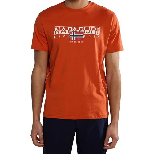 Textiel Heren T-shirts korte mouwen Napapijri 236334 Oranje