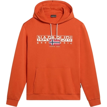 Textiel Heren Sweaters / Sweatshirts Napapijri 236358 Oranje