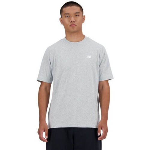 Textiel Heren T-shirts korte mouwen New Balance 34266 GRIS