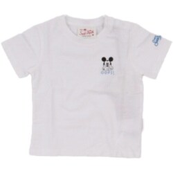 Textiel Jongens T-shirts korte mouwen Mc2 Saint Barth POT0002 01252F Wit
