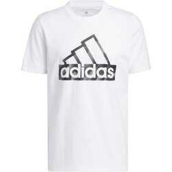 Textiel Heren T-shirts korte mouwen adidas Originals  Wit