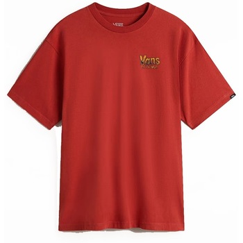 Vans T-shirt  Z legacy loose ss