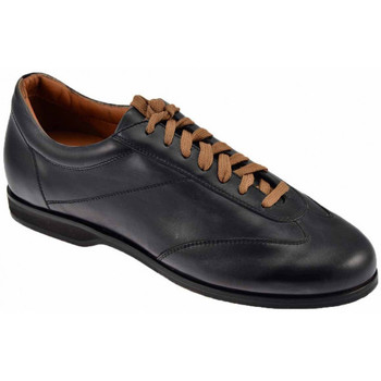Schoenen Heren Sneakers Calzoleria Toscana 1301  Walk Zwart