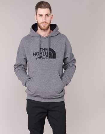 Textiel Heren Sweaters / Sweatshirts The North Face DREW PEAK PULLOVER HOODIE Grijs