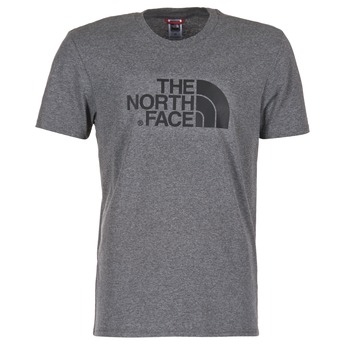 Textiel Heren T-shirts korte mouwen The North Face EASY TEE Grijs