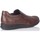Schoenen Heren Sneakers Fluchos MANDEN  8499 Bruin