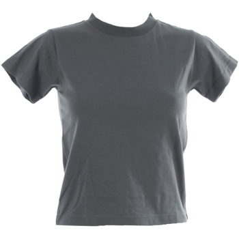 Textiel Dames T-shirts korte mouwen Bench BEN01408 Grijs
