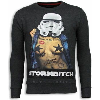 Textiel Heren Sweaters / Sweatshirts Local Fanatic Stormbitch Rhinestone Ciet Grijs