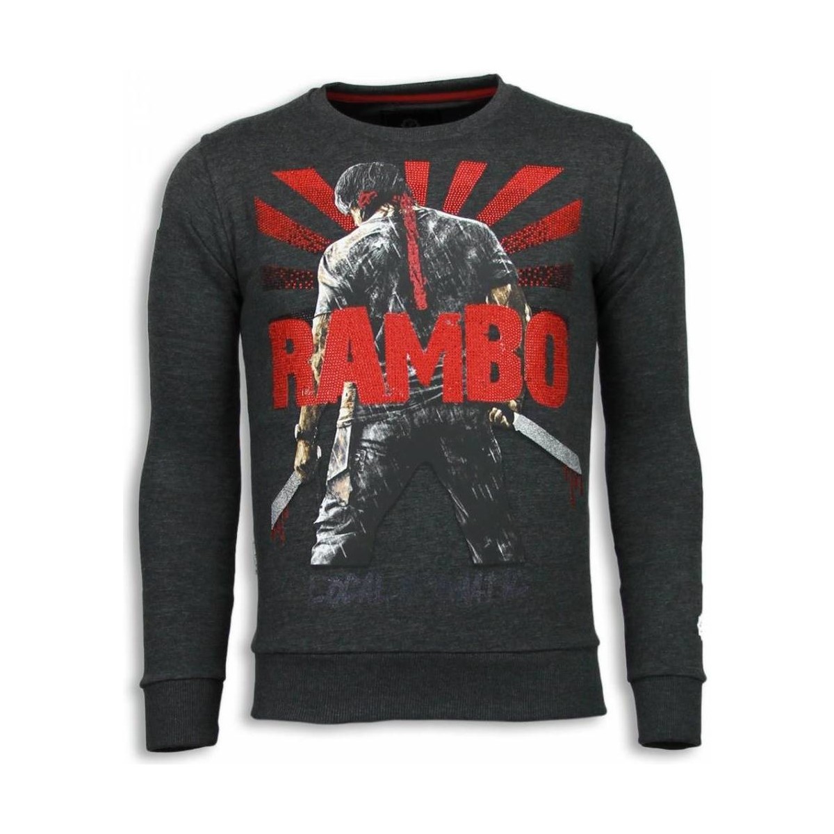 Textiel Heren Sweaters / Sweatshirts Local Fanatic Rambo Rhinestone Ciet Grijs