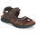 Schoenen Heren Sandalen / Open schoenen Panama Jack SALTON Bruin