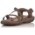 Schoenen Dames Sandalen / Open schoenen Skechers MANDEN  40955 Bruin