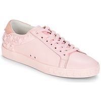 Schoenen Dames Lage sneakers Ash DAZED Roze