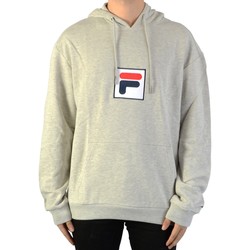 Textiel Heren Sweaters / Sweatshirts Fila 112872 Grijs