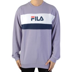 Textiel Heren Sweaters / Sweatshirts Fila 112867 Violet