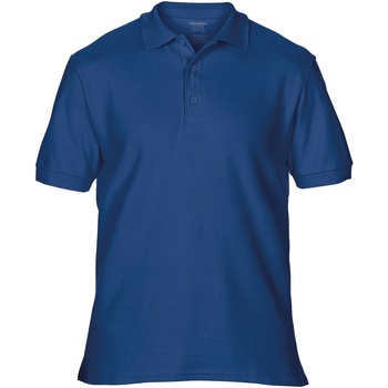 Textiel Heren Polo's korte mouwen Gildan Premium Blauw