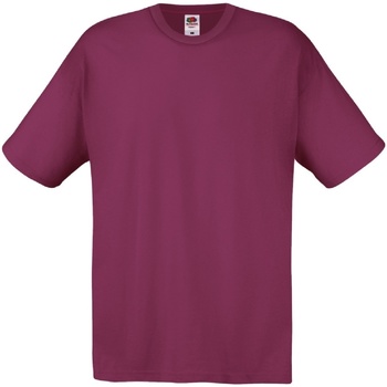 Textiel Heren T-shirts korte mouwen Fruit Of The Loom 61082 Multicolour