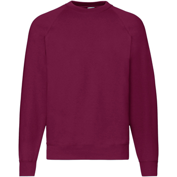 Textiel Heren Sweaters / Sweatshirts Fruit Of The Loom 62216 Multicolour