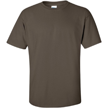 Textiel Heren T-shirts korte mouwen Gildan Ultra Groen