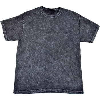 Textiel Heren T-shirts korte mouwen Colortone Mineral Zwart