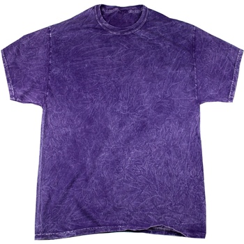 Textiel Heren T-shirts korte mouwen Colortone Mineral Violet