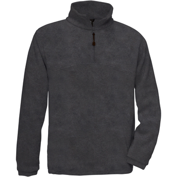 Textiel Heren Sweaters / Sweatshirts B And C Highlander Grijs