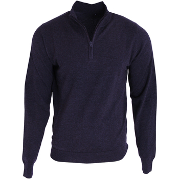 Textiel Heren Sweaters / Sweatshirts Premier PR695 Blauw