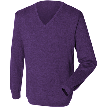 Textiel Heren Sweaters / Sweatshirts Henbury 12 Gauge Violet