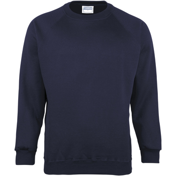 Textiel Heren Sweaters / Sweatshirts Maddins MD01M Blauw