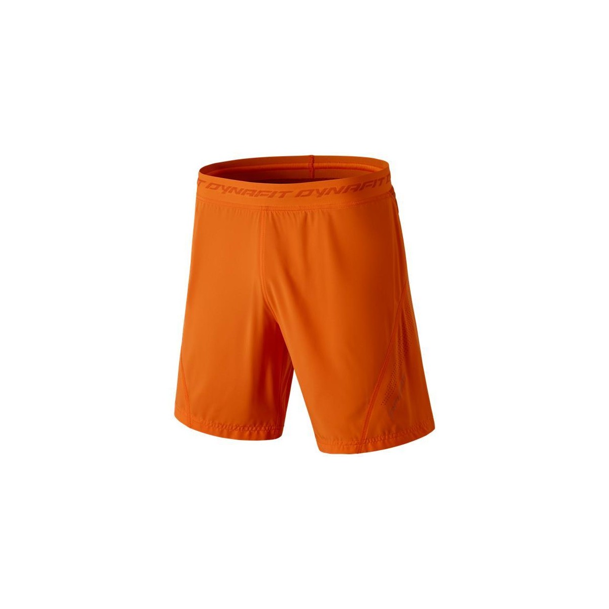 Textiel Heren Korte broeken / Bermuda's Dynafit React 2 Dst M 2/1 Shorts 70674-4861 Oranje