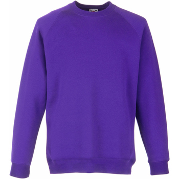 Textiel Kinderen Sweaters / Sweatshirts Fruit Of The Loom 62039 Violet