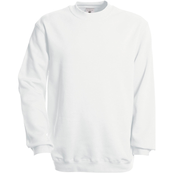 Textiel Sweaters / Sweatshirts B And C Modern Wit