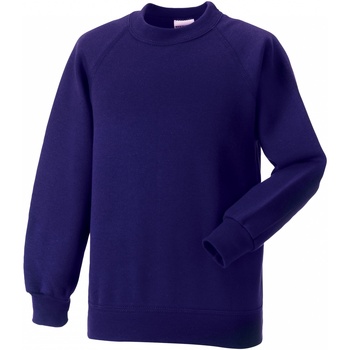 Textiel Kinderen Sweaters / Sweatshirts Jerzees Schoolgear 7620B Violet