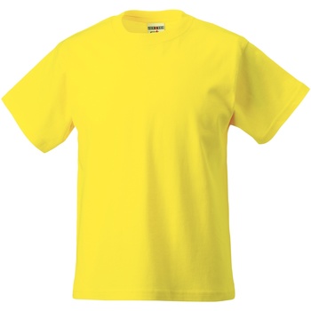 Textiel Kinderen T-shirts korte mouwen Jerzees Schoolgear ZT180B Multicolour