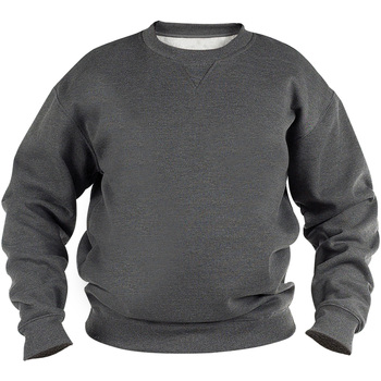 Textiel Heren Sweaters / Sweatshirts Duke Rockford Grijs