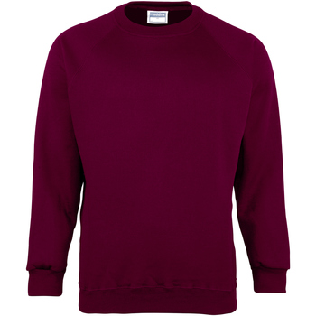 Textiel Kinderen Sweaters / Sweatshirts Maddins MD01B Multicolour