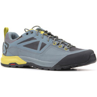 Schoenen Heren Lage sneakers Salomon Trekking shoes  X Alp SPRY GTX 401621 Multicolour